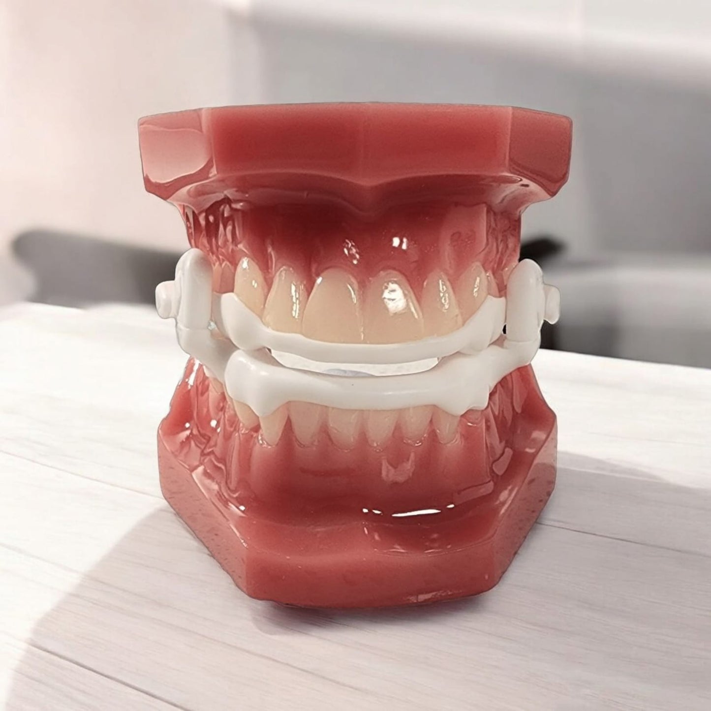 Typodont with Aer Dorsal MAS