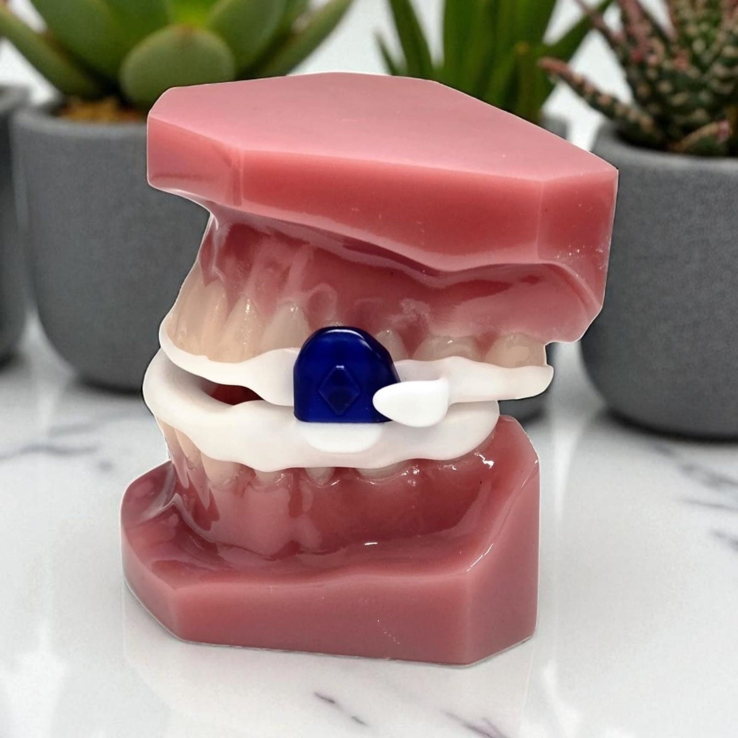 Our Design Aer Dorsal MAS (Dental lab only price)
